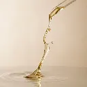 elixir huile.webp
